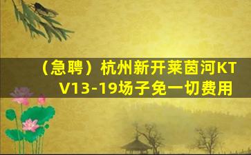 漳州酒吧招聘